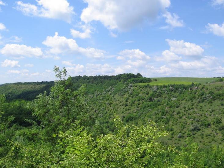 Загнітків з panoramio.com - Загнітків