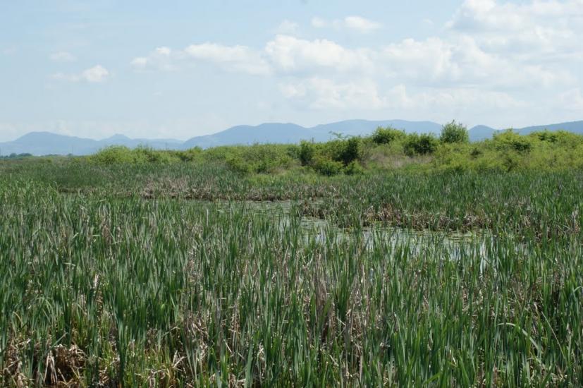 Оклі з panoramio.com - Оклі