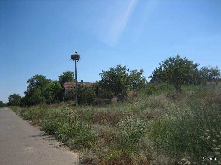 Баратівка з panoramio.com - Баратівка