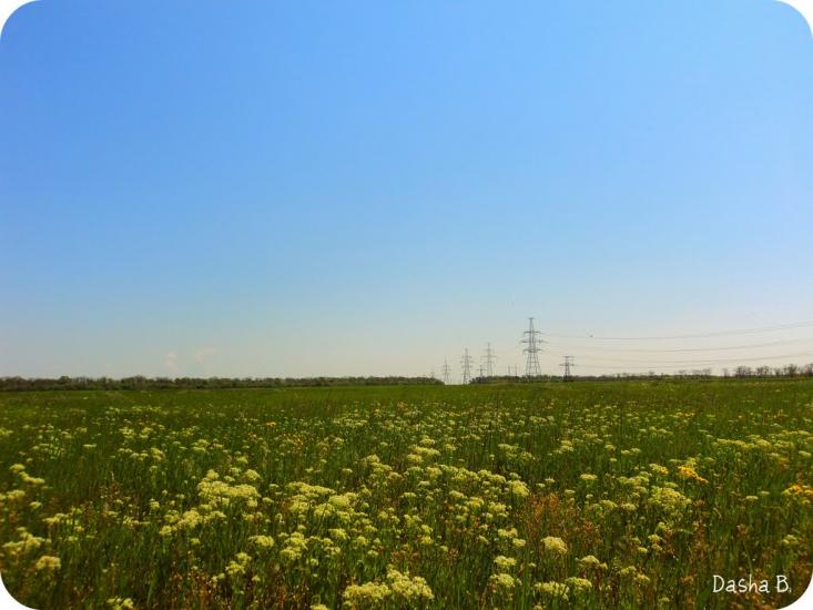 Дачне з panoramio.com - Dachne