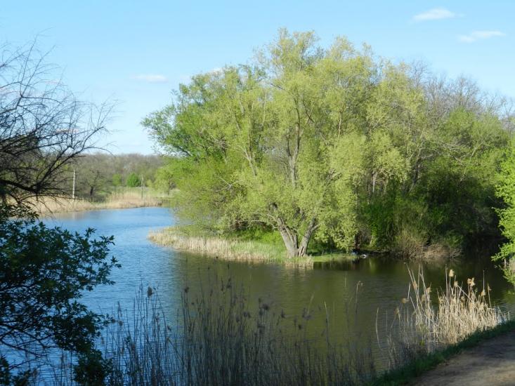 Христофорівка з panoramio.com - Христофоровка