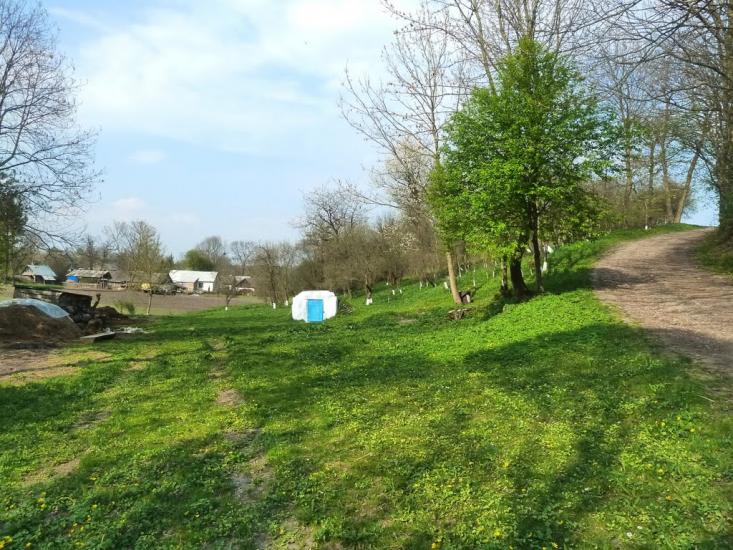 Бзовиця з panoramio.com - Бзовица