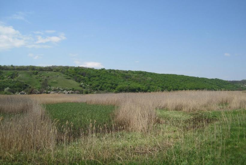 Красноріченське з panoramio.com - Krasnorichenske