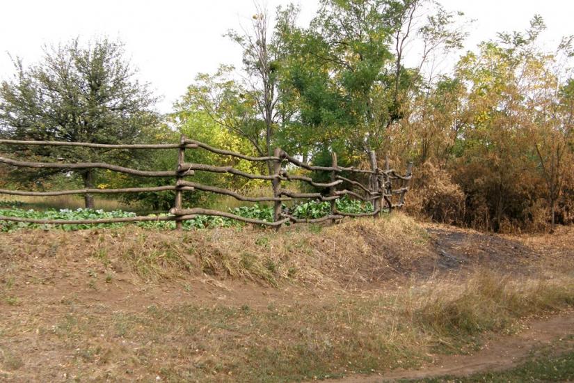 Новоселівка з panoramio.com - Новоселівка
