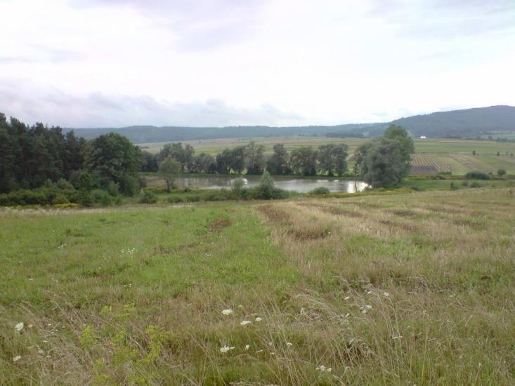 Болозів з panoramio.com - Болозів