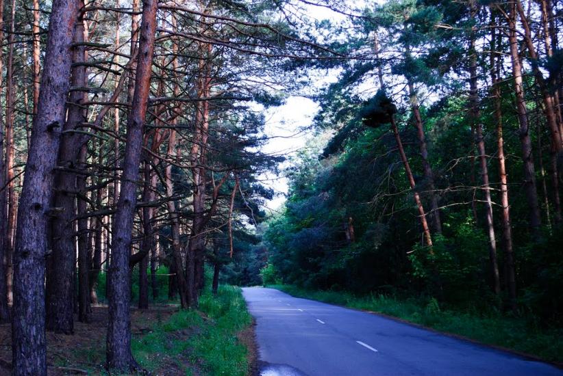 Проців з panoramio.com - Проців