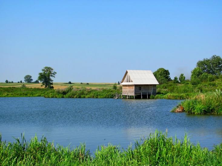 Кустин з panoramio.com - Кустин