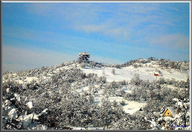 Луг з panoramio.com - Луг