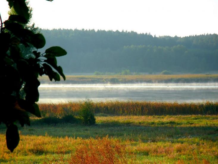 Нехворощ з panoramio.com - Нехворощ