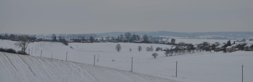 Заріцьк з panoramio.com - Зарецк