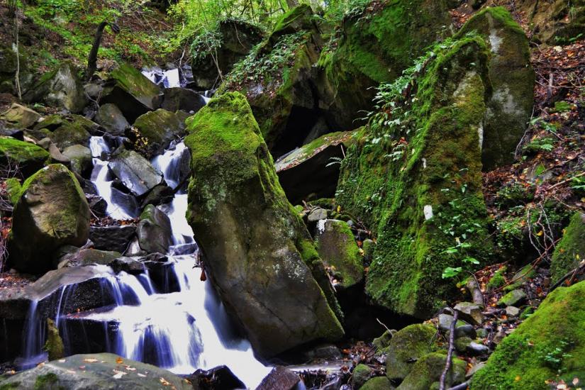 Росішка з panoramio.com - Rosishka