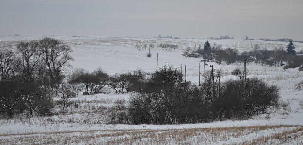 Заріцьк з panoramio.com - Зарецк
