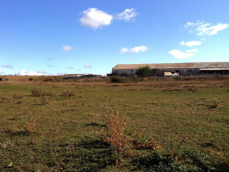 Комар з panoramio.com - Komar