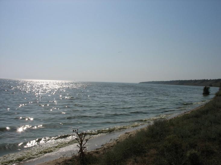 Дмитрівка з panoramio.com - Дмитрівка