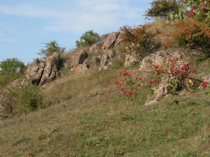 Казавчин з panoramio.com - Казавчин