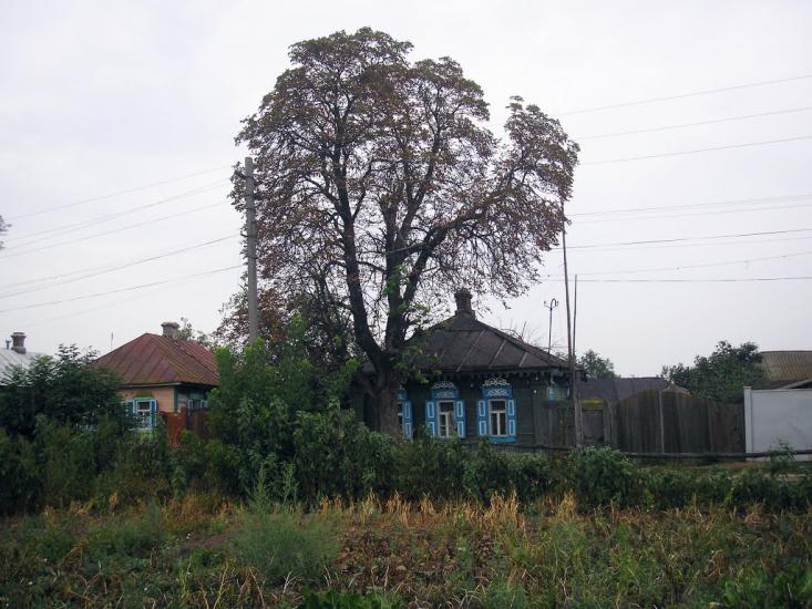 Добрянка з panoramio.com - Добрянка