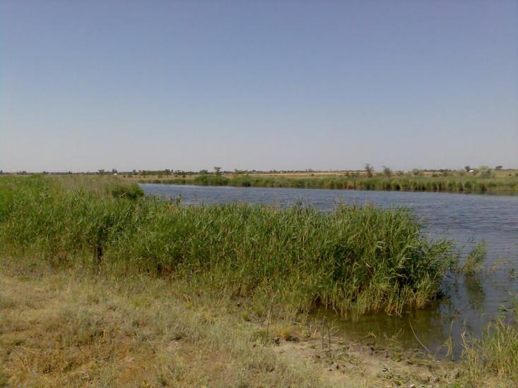 Мала Тернівка з panoramio.com - Mala Ternivka