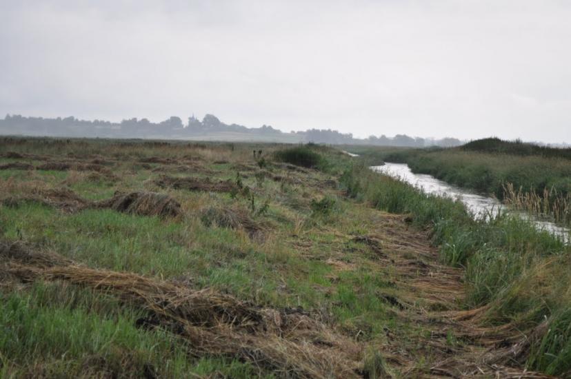 Заріцьк з panoramio.com - Зарецк