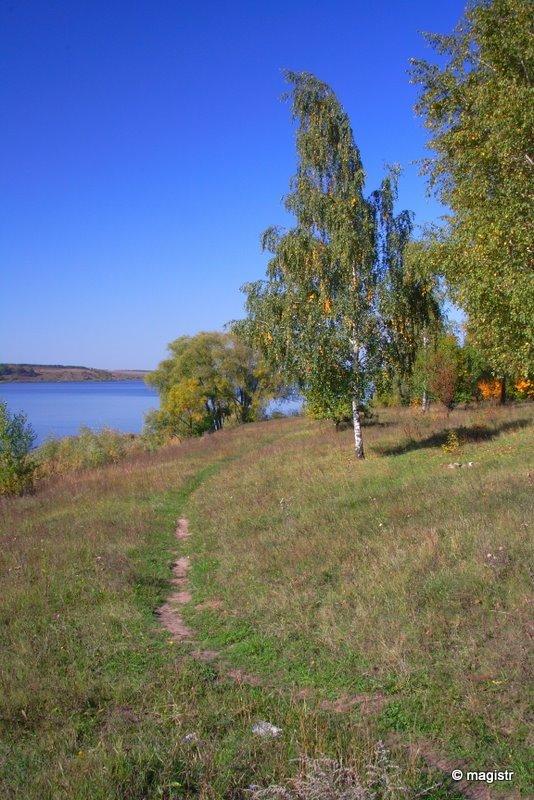 Липці з panoramio.com - Lyptsi