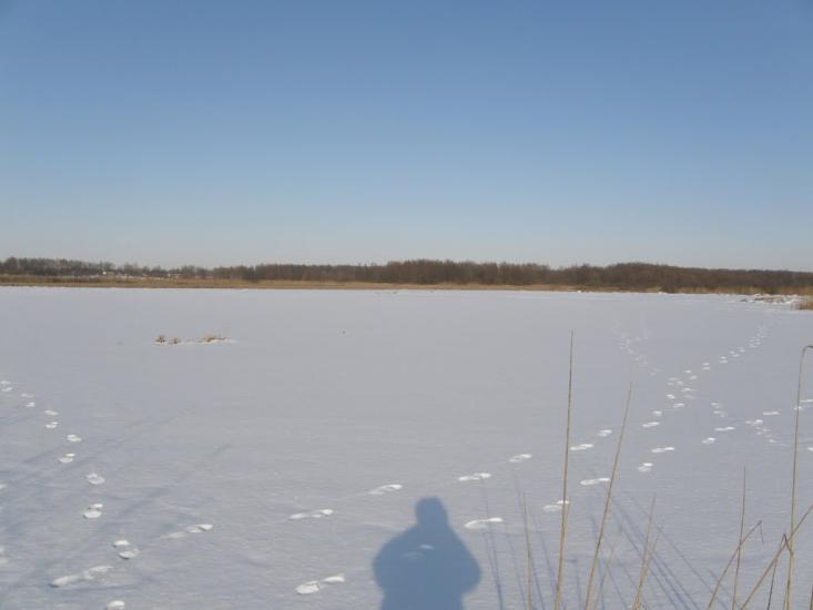 Оржиця з panoramio.com - Orzhytsya