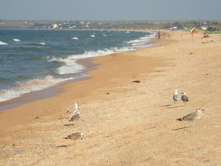 Кам'янське з panoramio.com - Кам'янське