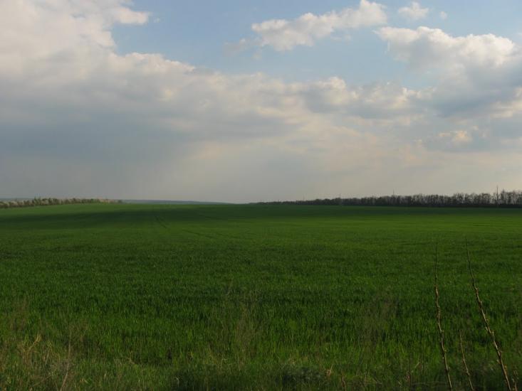 Бубнівка з panoramio.com - Бубновка