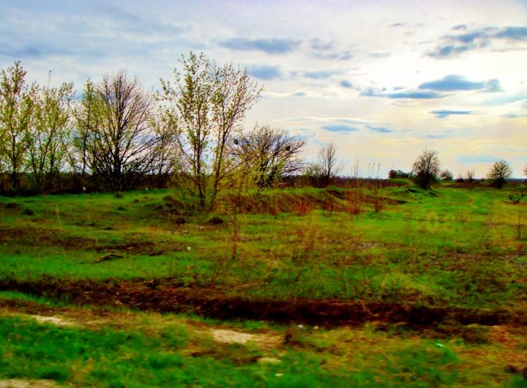 Довгалівське з panoramio.com - Dovgalivske