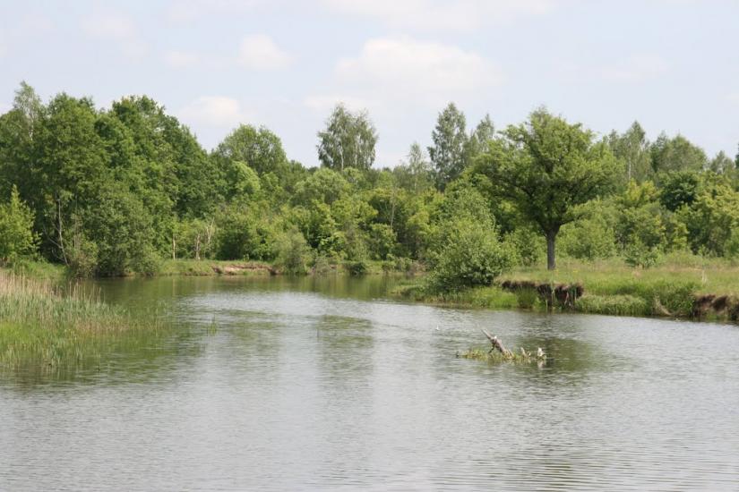 Ободівка з panoramio.com - Ободівка