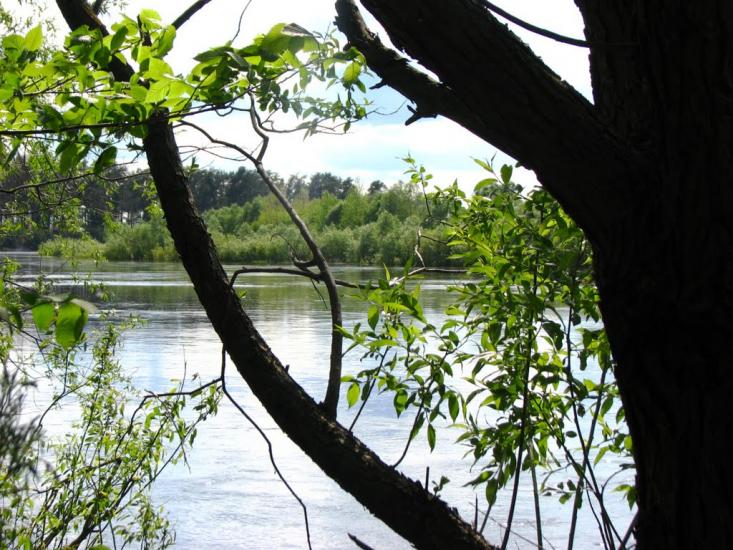 Неданчичі з panoramio.com - Неданчичи