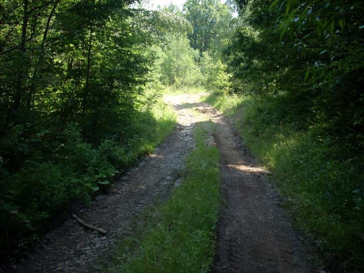 Кам'яниця з panoramio.com - Каменица