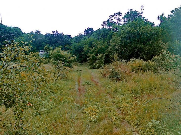 Подорожнє з panoramio.com - Подорожнє
