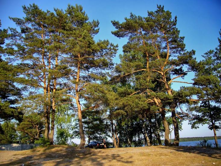 Кругле з panoramio.com - Кругле