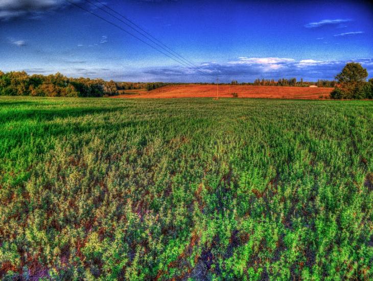 Стеблів з panoramio.com - Стеблев