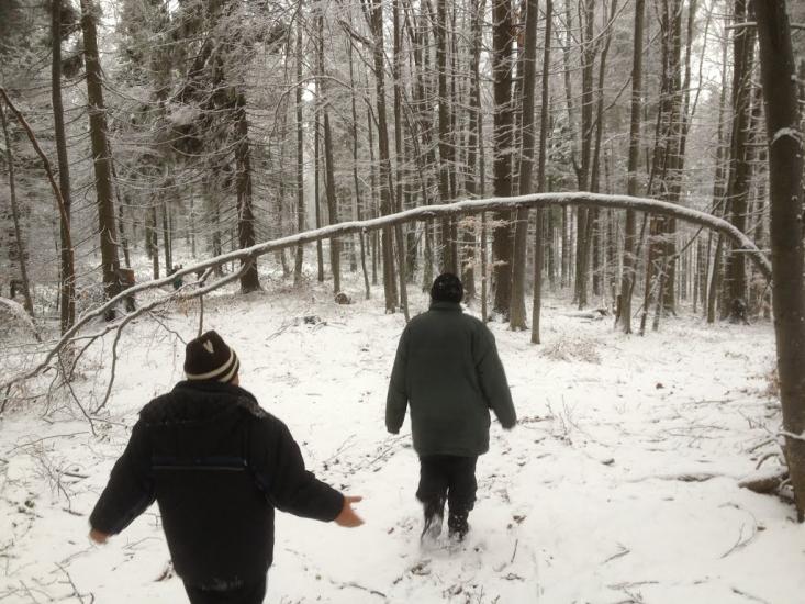 Карпатське з panoramio.com