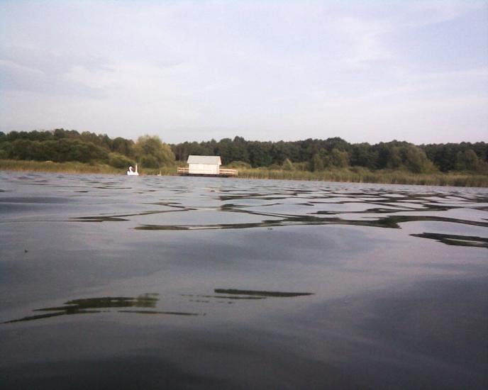 Добротвір з panoramio.com - Добротвір