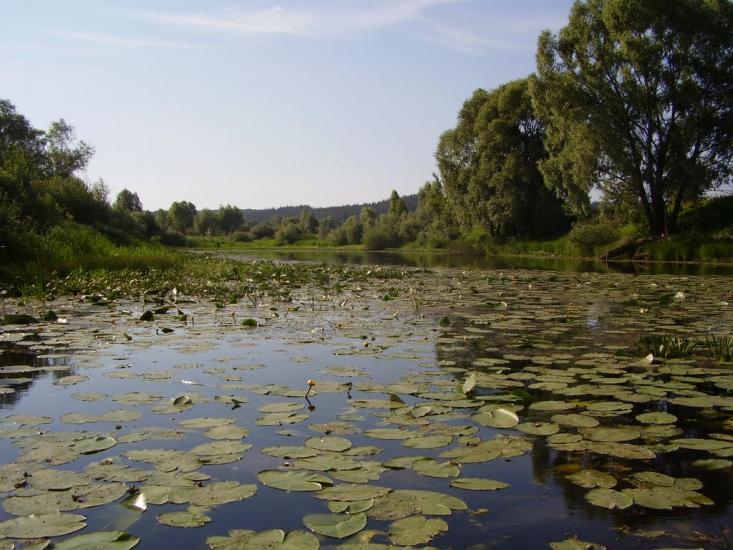 Райгородок з panoramio.com - Райгородок