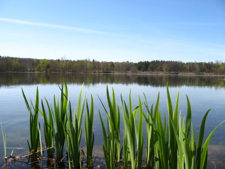 Стригани з panoramio.com - Стриганы
