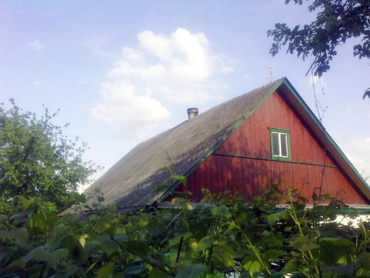 Нова Борова з panoramio.com - Новая Боровая