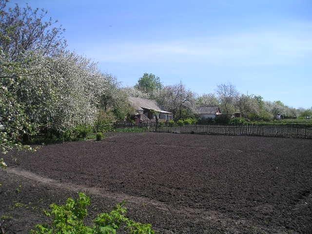 Пляхова з panoramio.com - Пляхова