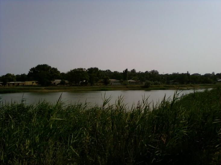 Серпневе з panoramio.com - Серпневое