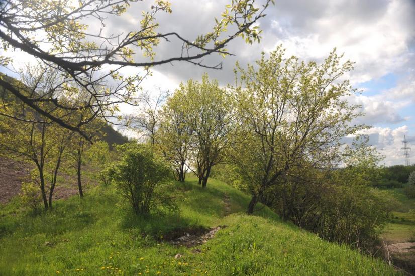 Піски з panoramio.com - Пески