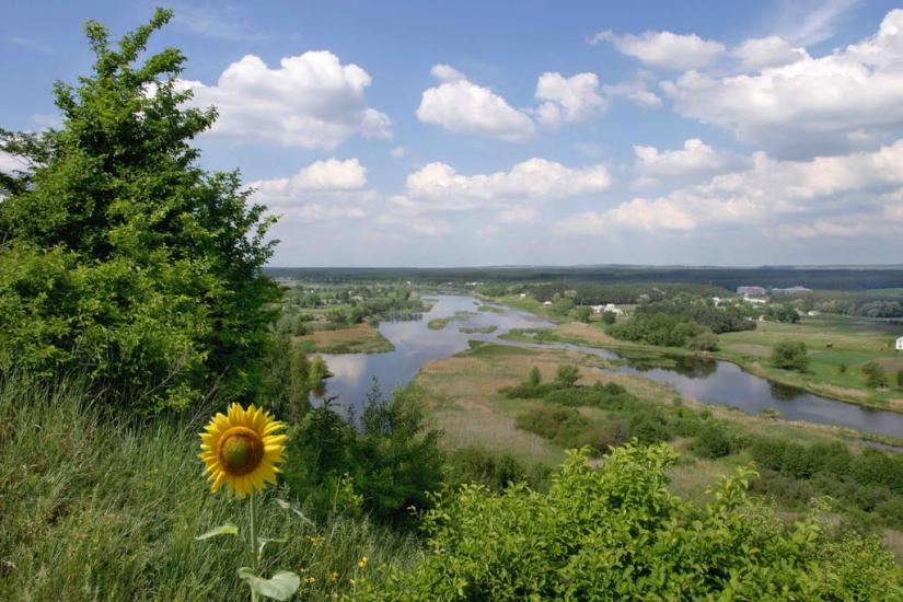 Дибинці з panoramio.com - Dybyntsi