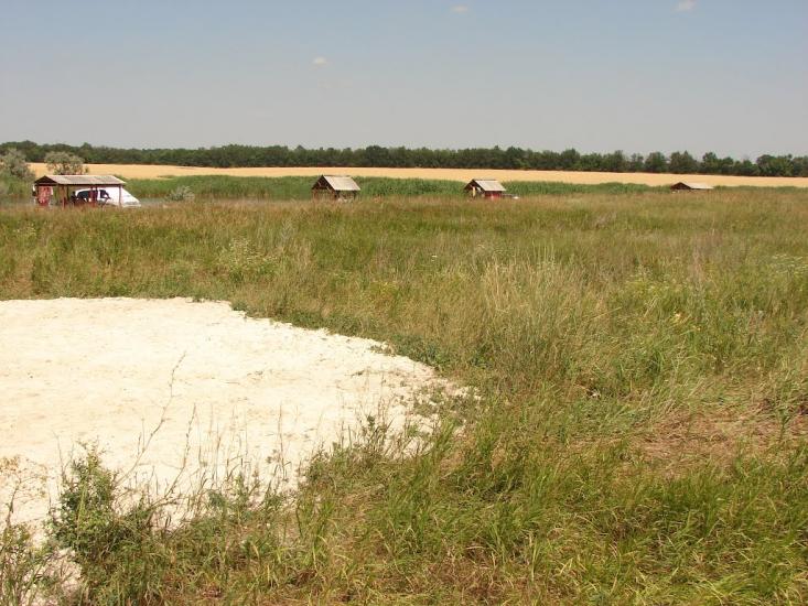 Білицьке з panoramio.com - Білицьке