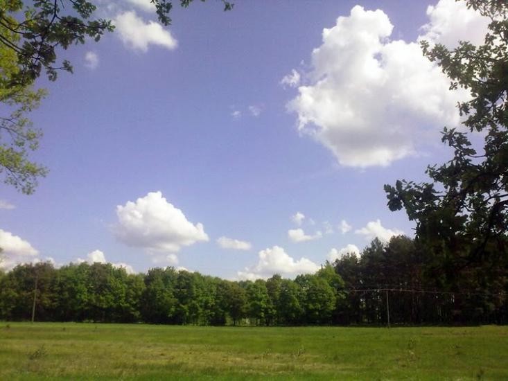 Нова Борова з panoramio.com - Нова Борова