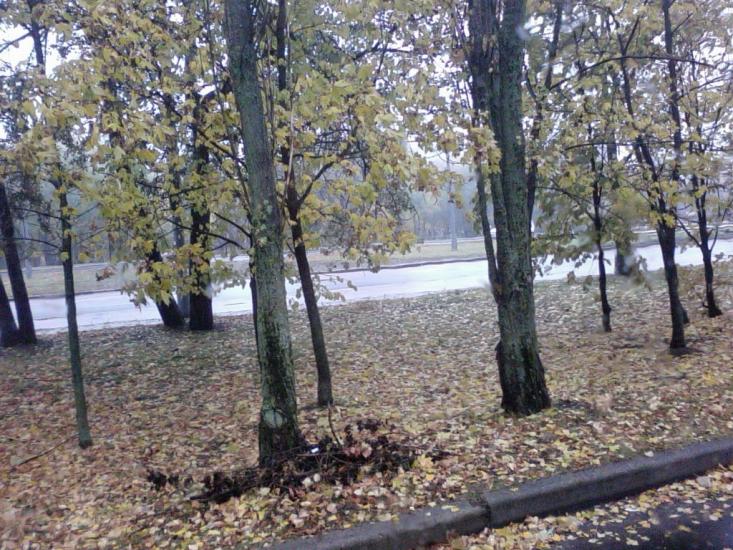 Лісники з panoramio.com - Лесники