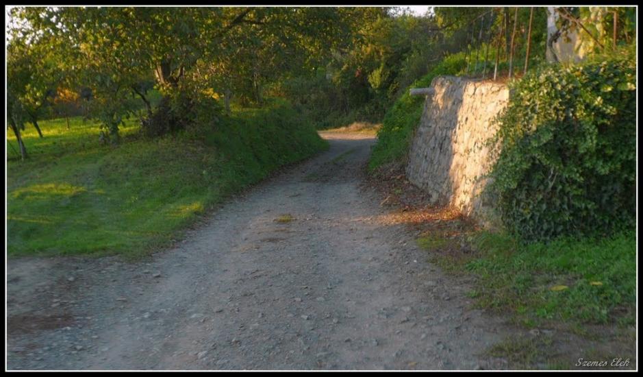 Астей з panoramio.com - Астей