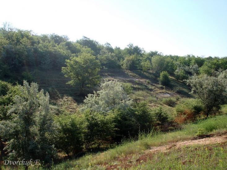 Христофорівка з panoramio.com - Христофоровка