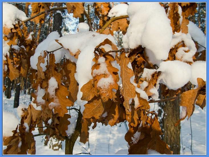 Тепениця з panoramio.com - Тепениця