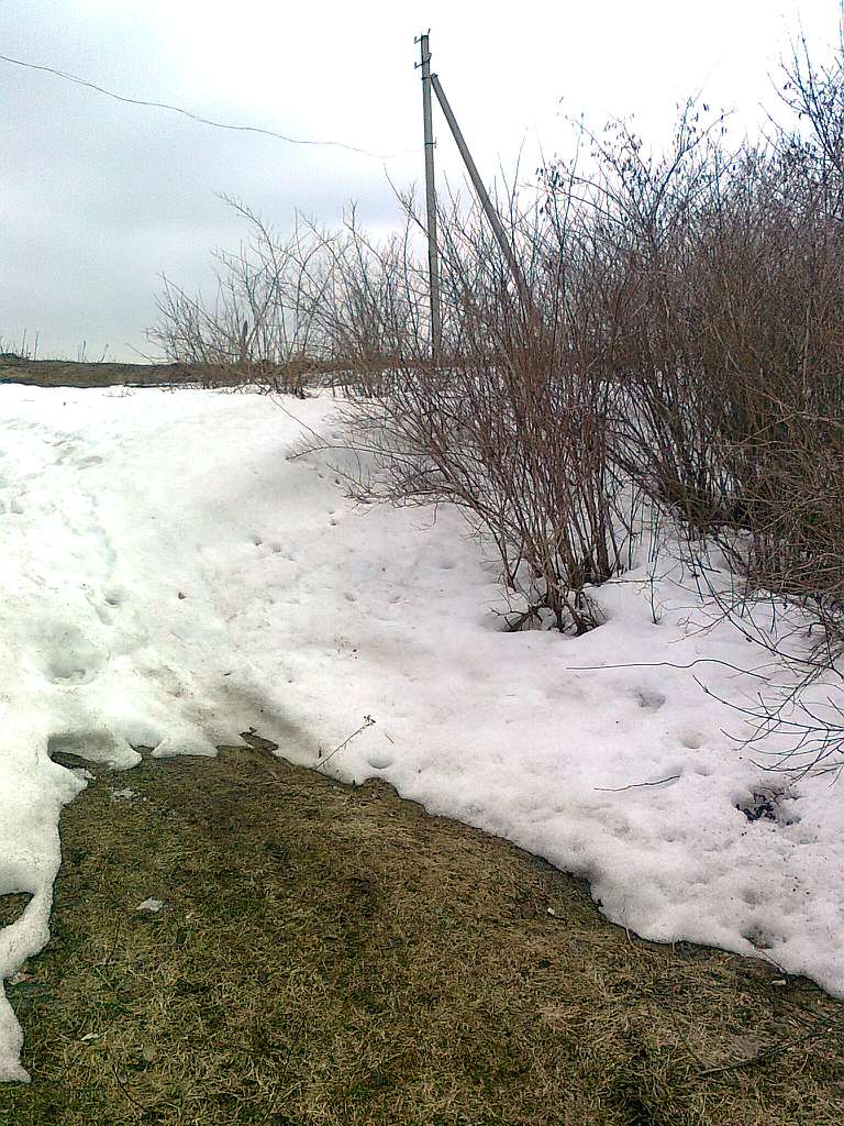 Паївка з panoramio.com - Паївка