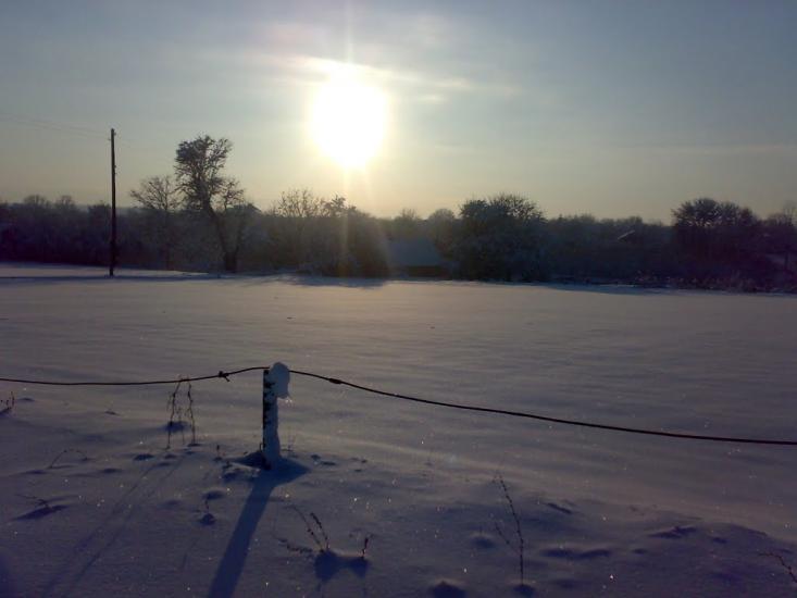 Мачухи з panoramio.com - Мачехи